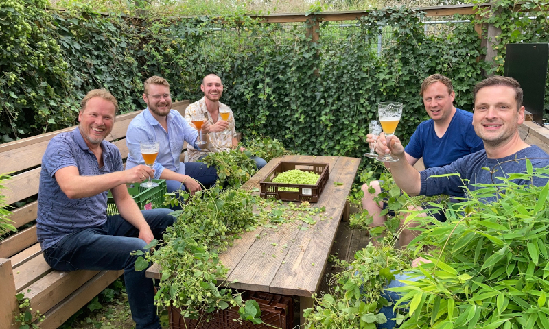 Mannen proosten tijdens de hoppluk bij Maximus Brouwerij